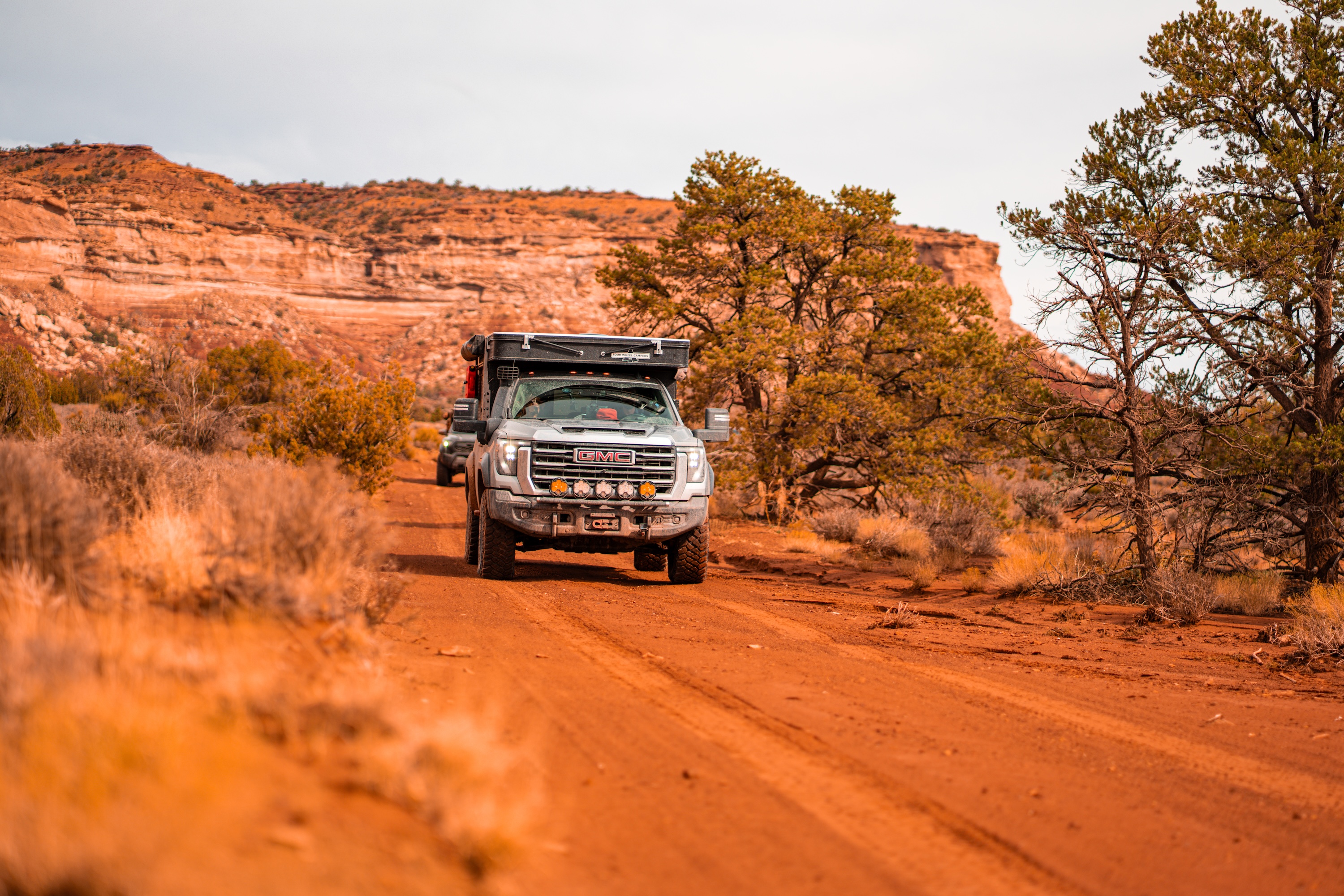 Ancient petroglyphs on desert rock