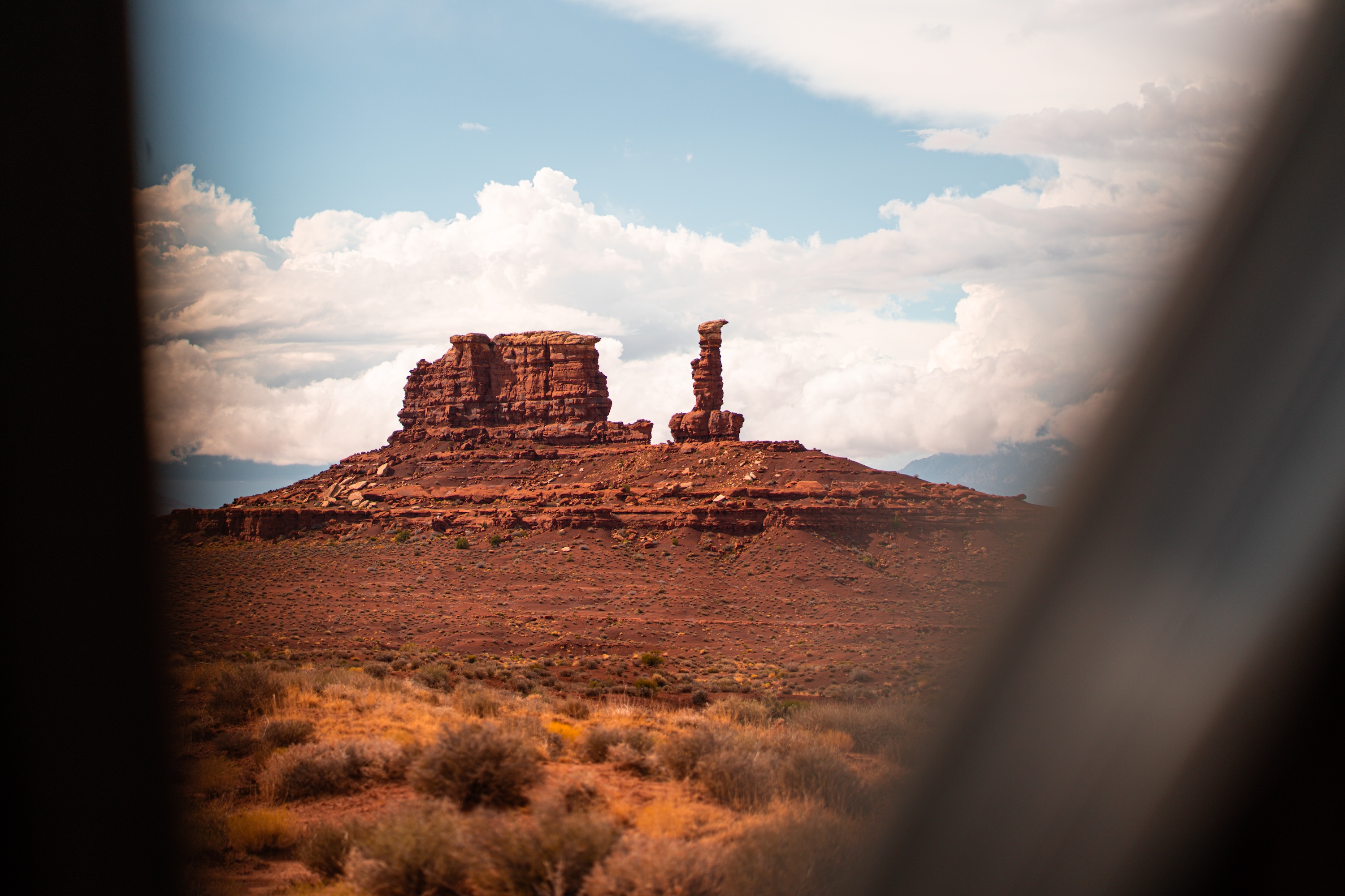 Desert wildflowers and landscape